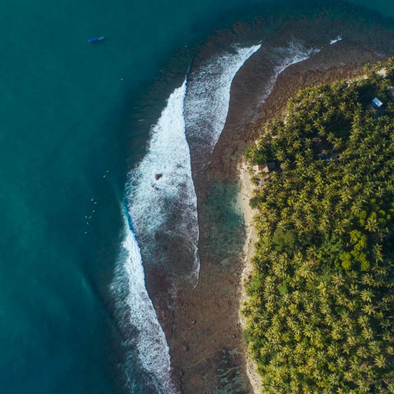 Mentawai surf @Molimc