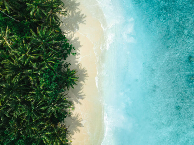 Aerial view of a palm-lined beach in the Mentawai Islands